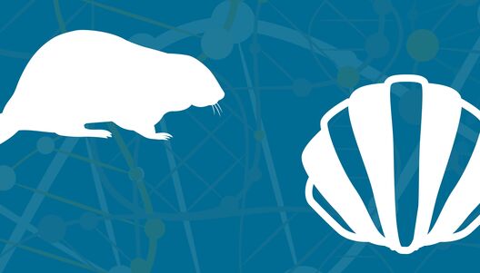 May 1 NSC3 AFAR Webinar