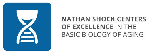 NSC Logo Final copy Copy copy 3