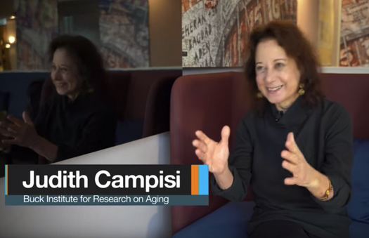 Breakthroughs - Judy Campisi