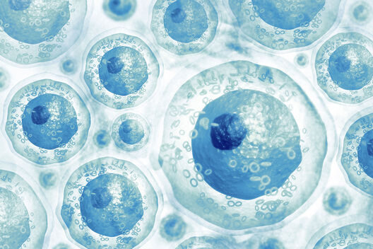 Human Cells Close Up