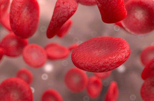 Red Blood Cells