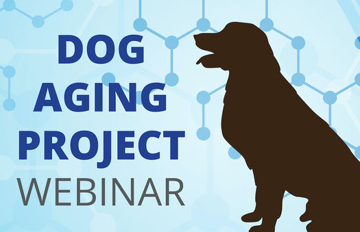 Dog Aging Webinar Graphic 2 copy