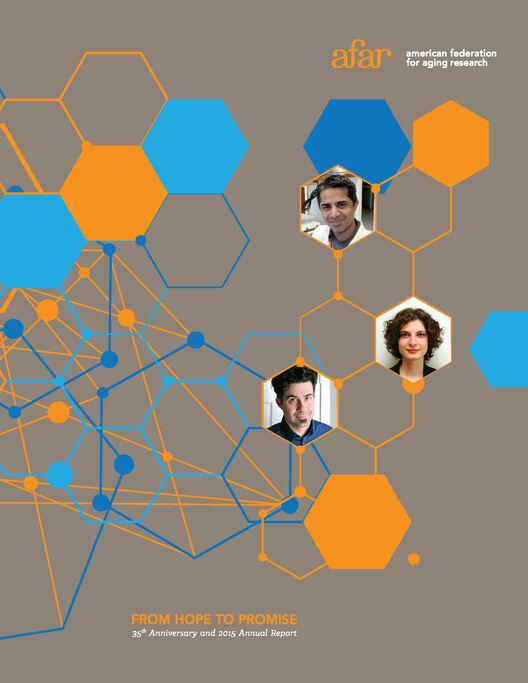 35th Anniversary Report Cover