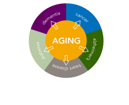 Aging Disease Pie Circle Resized 4