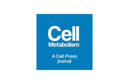 Grantee in the News: Nicolas Musi new research, using liver enzyme inhibitors to increase mRNAs and tackle metabolic diseases in Cell Metabolism