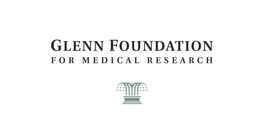 Glenn Foundation Color LOGO for Web rgb copy