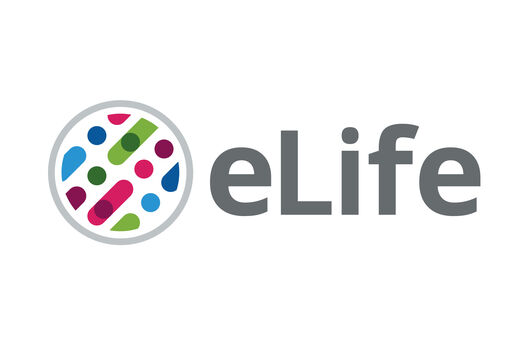 Grantees in the News: Chia-An Yen and Sean Curran co-author new research identifying specific genetic contributors associated with age-related muscle loss in eLife