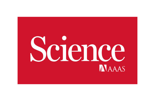 AFAR Leadership in the News: Research by President Thomas A. Rando, MD, PhD, on muscle stem cell resilience and aging in Science