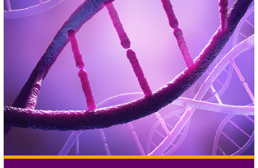 AFAR News: 2021 Annual Report Out Now