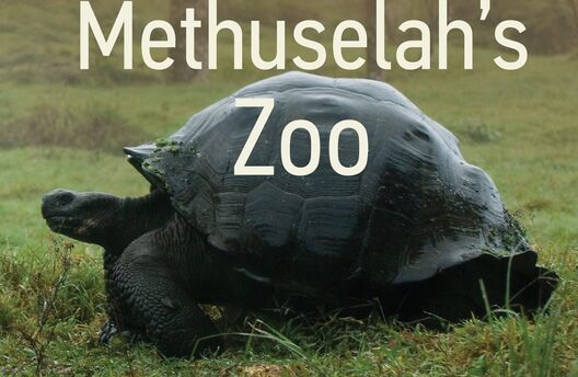 Board Member in the News: Senior Scientific Director Steven Austad releases new book, Methuselah’s Zoo