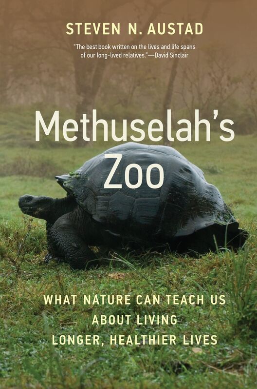 Methuselah Cover