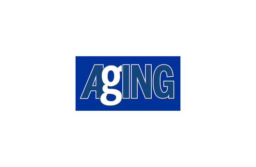AFAR Experts in the News: new research on senescence markers by Kirkland, Niedernhofer, and  LeBrasseur on cover of Aging journal