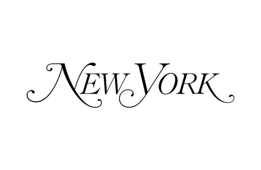 AFAR Leadership in the News: Senior Scientific Director Steve N. Austad on aging and the 2024 U.S. presidential election in New York Magazine