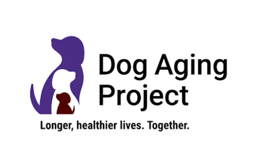AFAR encourages petition to Renew NIH Support for The Dog Aging Project