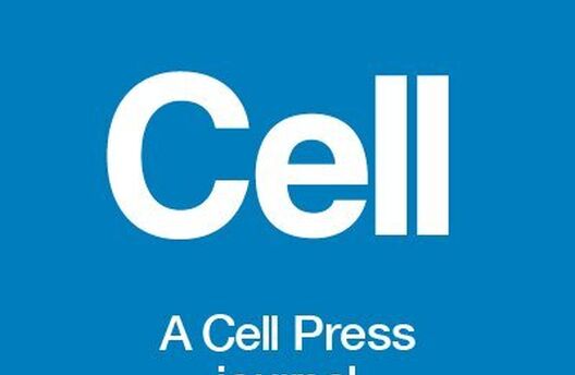 AFAR Grantee in the News: New research co-authored by Zeda Zhang, PhD, on novel use of CAR T cell therapy for treating solid tumors in Cell
