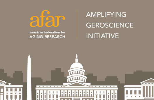 Amplifying Geroscience Initiative Impact Update: August 2024