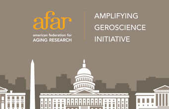 News Item Art Amp Gero3