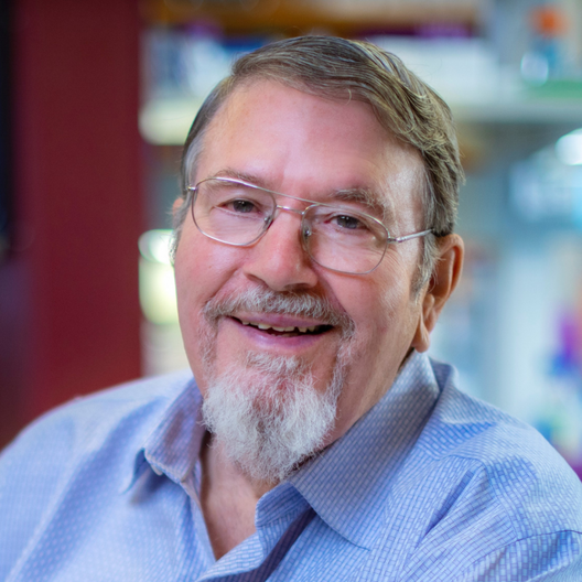 Arlan Richardson Ph D 1024x1024