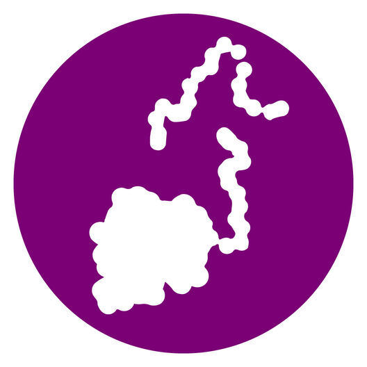 Hallmark icon Loss Pro Dis Mac disc