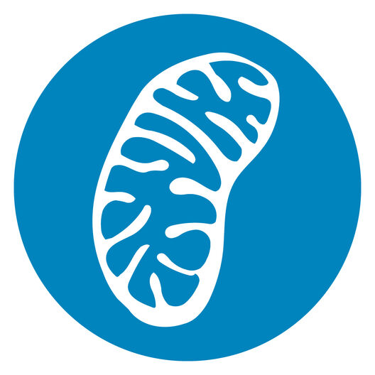 Hallmark icon Mito Dys disc