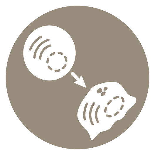 Hallmark icon Cell Senes disc