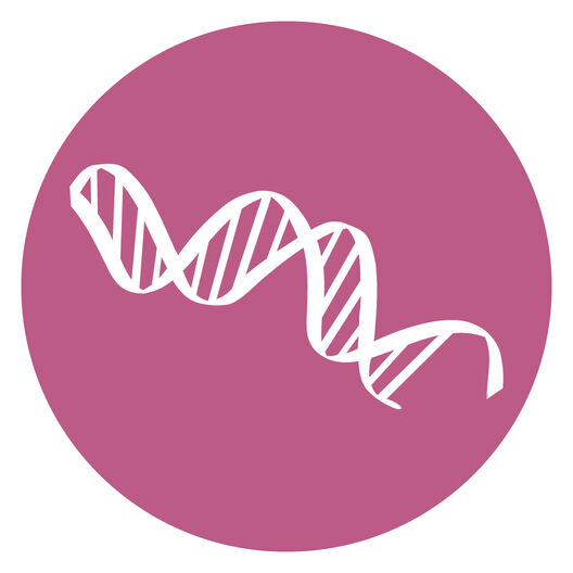 Hallmark icon Geno Inst disc