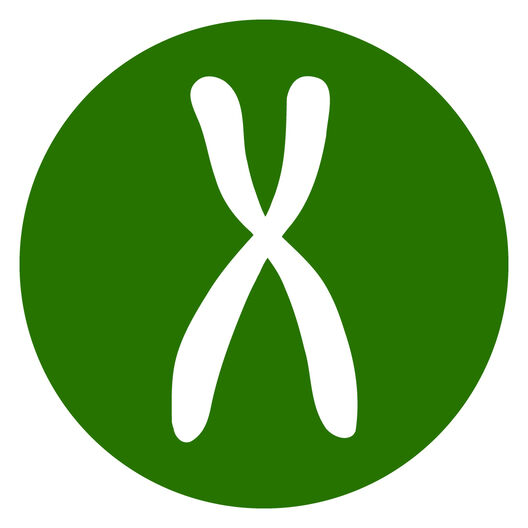 Hallmark icon Telo Att disc