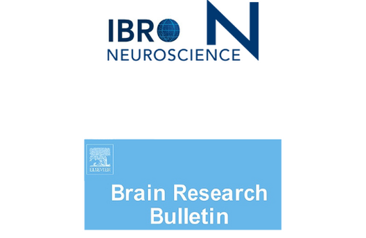 AFAR Grantees in the News: New Research co-authored by Timothy Jarome, PhD, and Yeeun Bae, PhD, in Brain Research Bulletin, Neuroscience, and MSN