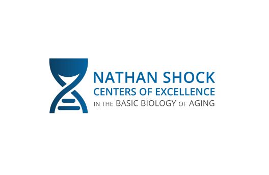 Ask the Expert Interview with Rozalyn Anderson, PhD, Director of the Wisconsin Nathan Shock Center Director.