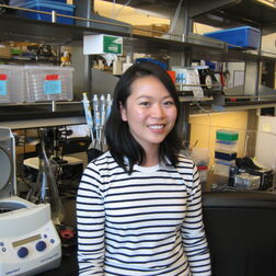 Shen Koning headshot