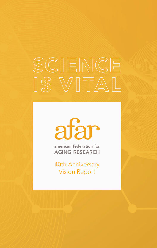 AFAR 40th Vision Report Cover High Res