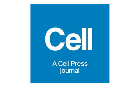 AFAR Grantees in the News: New research co-authored by Turan Aghayev, MD, PhD, and Saul Villeda, PhD, on exercise and the brain in Cell
