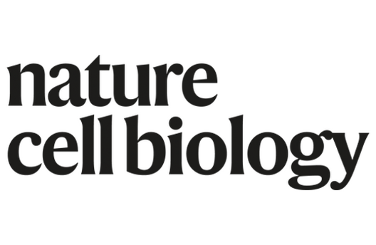AFAR Grantees in the News: New Research by Kristopher Burkewitz, PhD, and Jason MacGurn, PhD, on Hidden Cellular Process and Aging in Nature Cell Biology